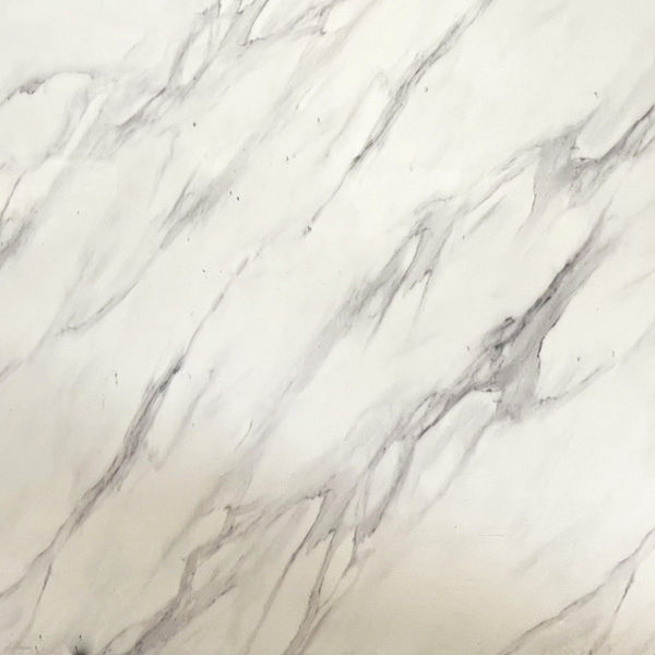 AR-ไวท์วอรากัส 015 - AR-White Voragus 015
